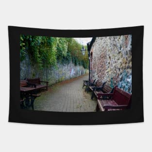 Paved Alleyway - Plants Over hanging Stone Wall & Benches - Tenby (Harbour), Pembrokeshire Tapestry