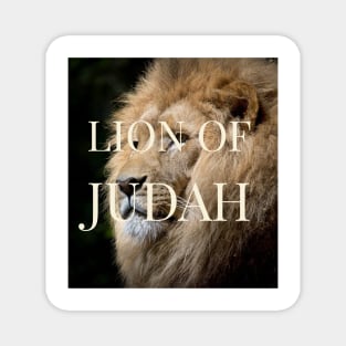 Lion of Judah Magnet