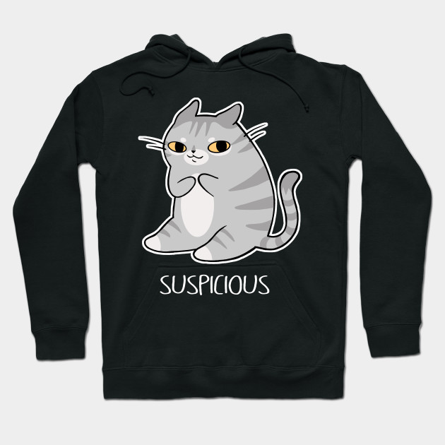 suspicious hoodie