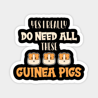 Cute Guinea Pig Magnet