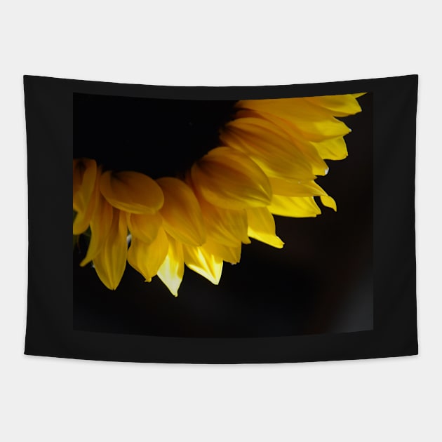 Sunflower Arc Tapestry by Whisperingpeaks