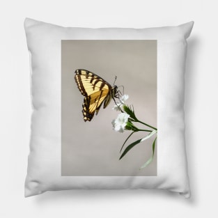 Swallowtail Butterfly Pillow