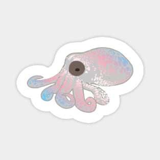 Trans Flag Spotted Octopus Magnet