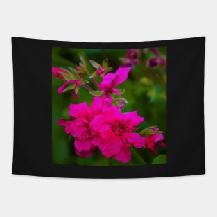 Geranium Flowers Tapestry