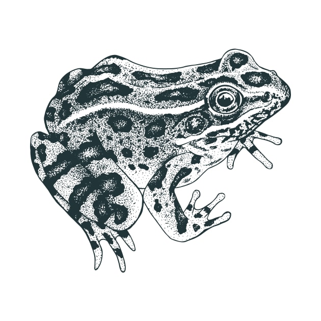 Northern Leopard Frog by Warbler Creative