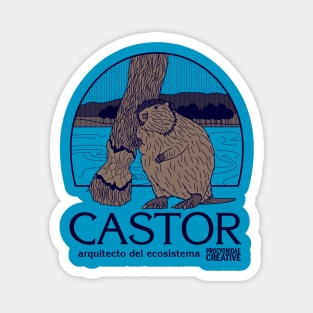 Castor, Arquitecto del Ecosistema Magnet