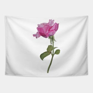 Watercolor rose Tapestry