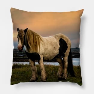 Shetland Pony Pillow