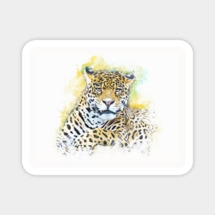 Panther Animal Wildlife Jungle Nature Adventure Free Travel Digital Painting Magnet