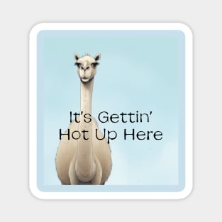 Camel It's gettin' hot in here Magnet