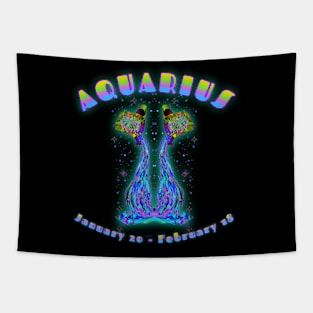 Aquarius 6b Black Tapestry