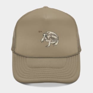 froggie says NO Hat