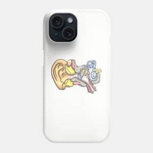 Human Inner Ear Anatomy Illustration Phone Case