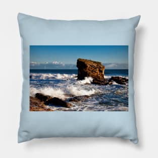 Stormy Sea around Charlie's Garden Pillow