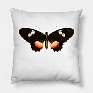 🦋 Himera Longwing (Heliconius himera) Beautiful Butterfly Pillow