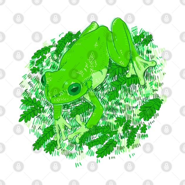 Green Frog by Drawing Alba