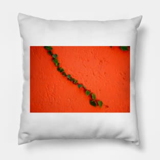 Ivy on a wall 2 Pillow