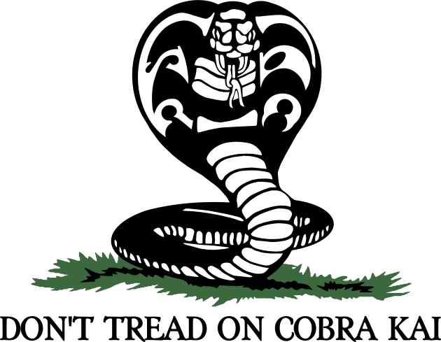 Don't Tread On Cobra Kai Kids T-Shirt by darklordpug