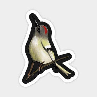 Ruby-Crowned Kinglet Magnet