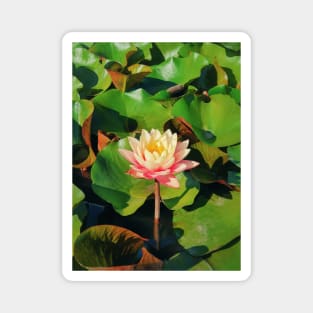 coral pink color waterlily Magnet