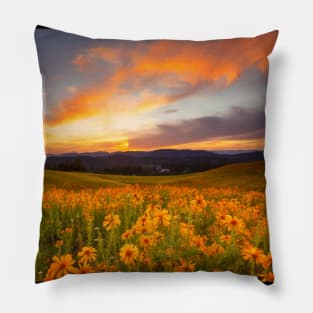 Beautiful landscap flowers and sunset Pillow