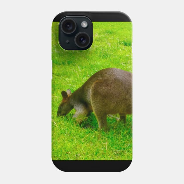 The Wallaby Feeds! Phone Case by Mickangelhere1