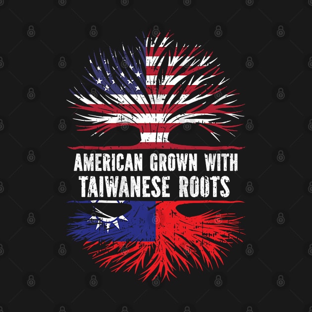 American Grown with Taiwanese Roots USA Flag by silvercoin