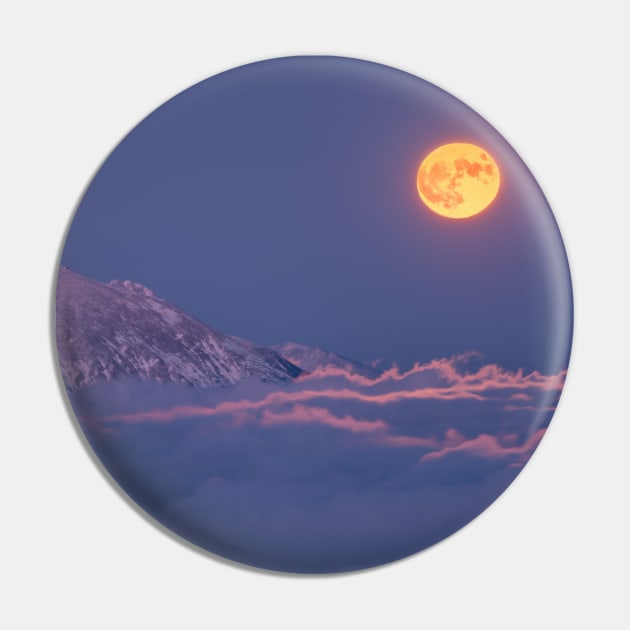 Full Moon Rising Pin by NewburyBoutique