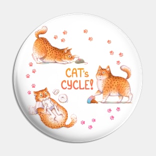 Cat's Cycle (Orange) Pin