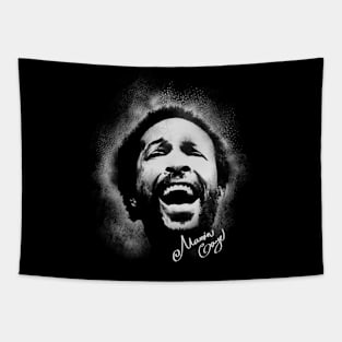 Marvin gaye pop vintage Tapestry