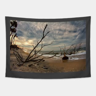 Edisto Island, South Carolina Tapestry