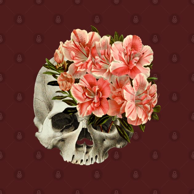 skull flower vintage illustration by Nosa rez