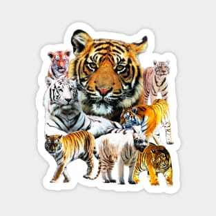 Very Awesome Tiger Tie Dye (Cool and Sick) Magnet