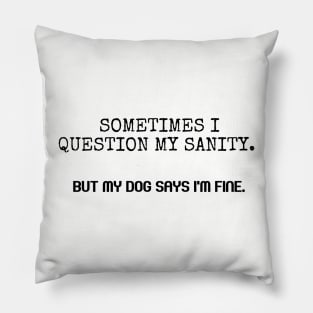 Sometimes I question my sanity. Pillow