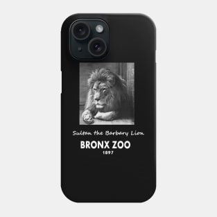 ART OF ZOO - LIONPHOTOGRAPH- SULTAN THE BARBARY LION, BRONX ZOO -1897 Phone Case