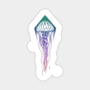 Jellyfish Gradient Design Magnet