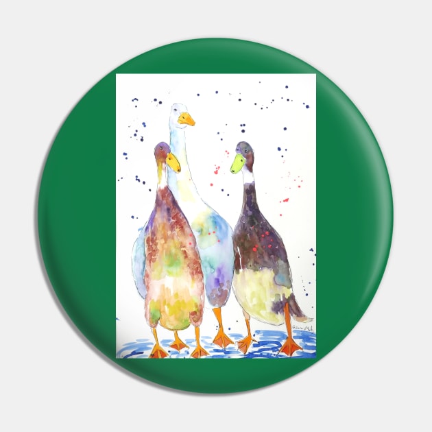 Three Proud Indian Runner Ducks Pin by Casimirasquirkyart