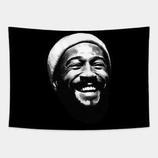 Marvin Gaye Tapestry