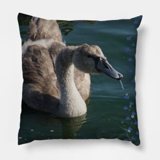 Cygnet Drinking Pillow