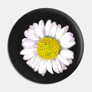 White daisy Bellis perennis wildflower close up Pin