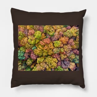 Aerial view of colorful autumn forest Pillow