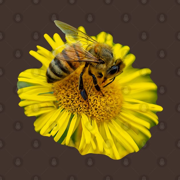 Bee Happy by dalyndigaital2@gmail.com