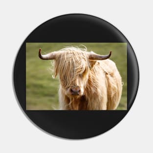 Scottish Highland Cow Pin