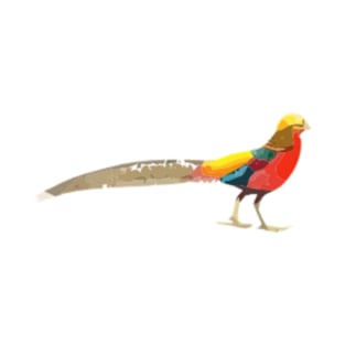 Golden Pheasant Digital Painting T-Shirt