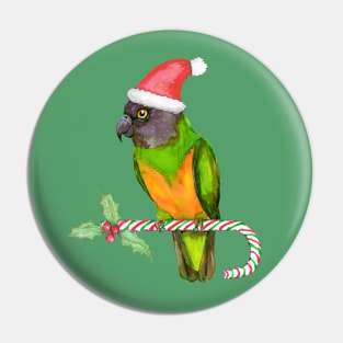 Senegal parrot Christmas style Pin