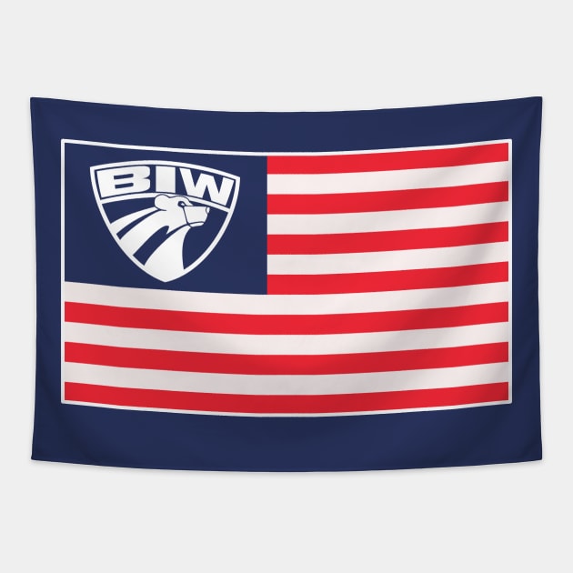 BIW USA Tapestry by TheRealJoshMAC