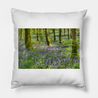 Bluebells in Cally Woods, Gatehouse of Fleet Dumfries Galloway Photo Pillow