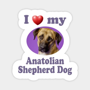 I Love My Anatolian Shepherd Dog Magnet