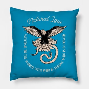 Natural Law Pillow