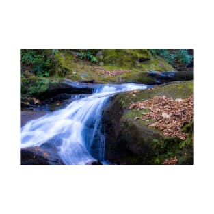 Roaring Fork Creek Falls T-Shirt